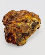 Sericho meteoriet Pallasiet - Hoogte: 70 mm - Breedte: 60 mm, Verzamelen