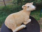 Statue, life size and a lifelike (Texel lamb) - 32 cm -