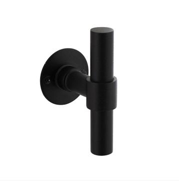 Gatdeel T-model recht + ronde platte rozet 50X2mm RVS/Zwart beschikbaar voor biedingen