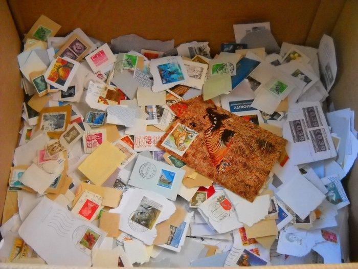 Wereld - Een lot postzegels op papier, Postzegels en Munten, Postzegels | Amerika