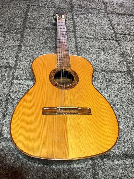 Maken ziel puzzel ② Giannini - AWN-31 - Klassieke gitaar - Brazilië — Snaarinstrumenten |  Gitaren | Akoestisch — 2dehands