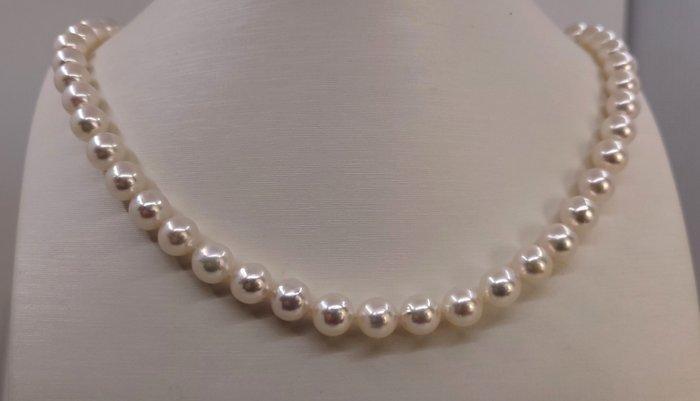 Halsketting Zilver, ALGT Gecertificeerde Akoya Parel -, Handtassen en Accessoires, Kettingen