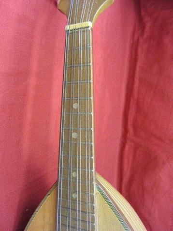 Suzuki - No. 203 - - Mandoline - Japon - 1963, Musique & Instruments