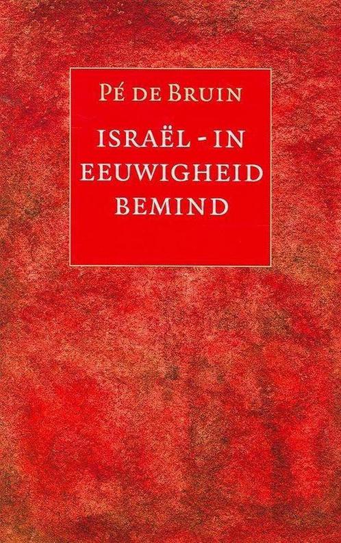 ISRAEL IN EEUWIGHEID BEMIND 9789063181697 P. de Bruin, Boeken, Godsdienst en Theologie, Gelezen, Verzenden