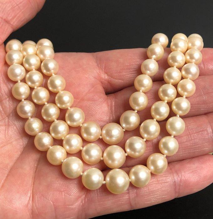 Sans prix de réserve - Collier - 18 carats Or blanc, Platine, Handtassen en Accessoires, Kettingen