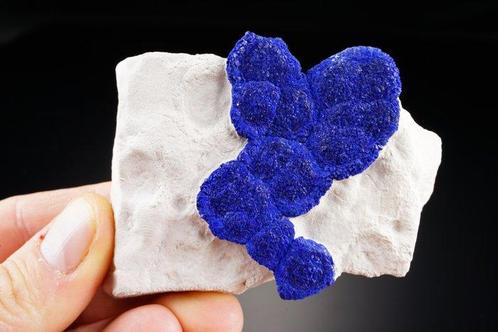 Haut azurite soleil en KAOLINITE blanche - QUALITÉ, Verzamelen, Mineralen en Fossielen