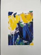 Johannus Antonius Smit (1945-2002) - Blue Parrot