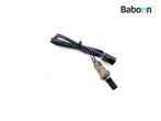 Capteur doxygène Triumph Tiger 1050 2007-2012, Motoren, Verzenden, Nieuw