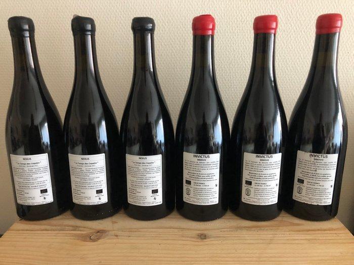 2017 x 3 Domaine de LEcu  Nexus & 2018 x 3Invictus -, Verzamelen, Wijnen