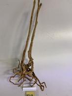 Boutique Stump Selected BS23 - 74x30x18cm (Natuurlijk hout), Ophalen of Verzenden, Nieuw, Plant(en), Steen of Hout