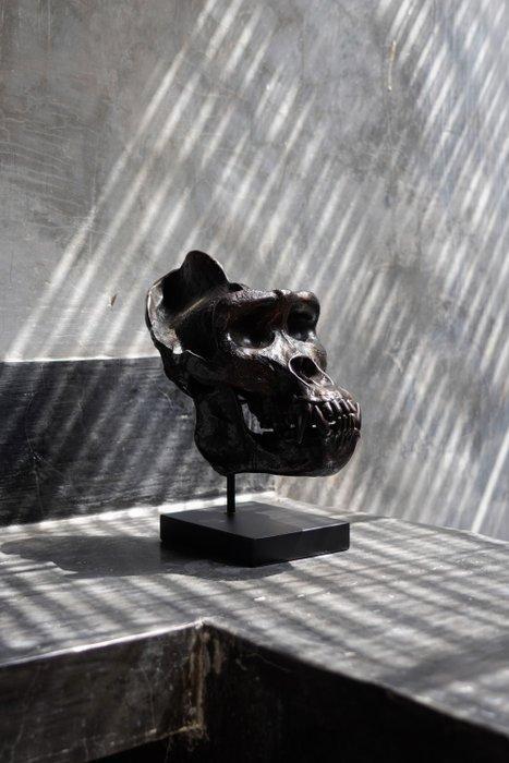 sculptuur, Western Gorilla Skull, cast in the finest, Antiquités & Art, Art | Objets design