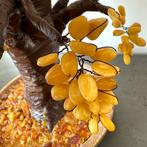 Oude handgemaakte decoratieve amberboom met natuurlijk, Antiek en Kunst