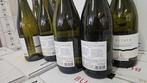 2023 Kellerei St. Pauls, Plötzner Pinot Bianco - Süd Tirol, Nieuw