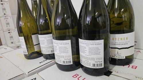 2023 Kellerei St. Pauls, Plötzner Pinot Bianco - Süd Tirol, Verzamelen, Wijnen