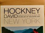 David Hockney (after) - Pool with two figures, Museum of