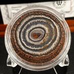 Niue. Silver .999 antique finish 1 oz - 1 Dollar - Elizabeth