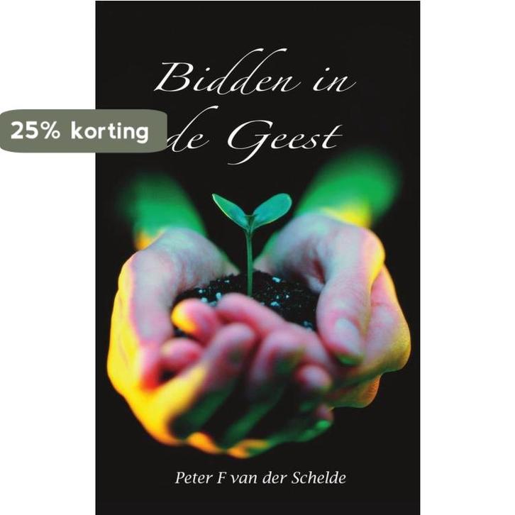 BIDDEN IN DE GEEST 9789057191589 P.F. van der Schelde, Boeken, Godsdienst en Theologie, Zo goed als nieuw, Verzenden
