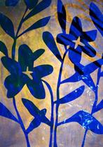 Lupo - Urban Jungle 301 - Real Gold - XXL-NO Reserve