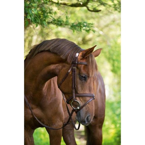 Trenshoofdstel classic leder, bruin, volbloed - kerbl, Dieren en Toebehoren, Overige Dieren-accessoires, Nieuw