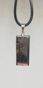 Prachtige Seymchan-meteoriet. Spiegelglans polijstwerk., Collections, Minéraux & Fossiles