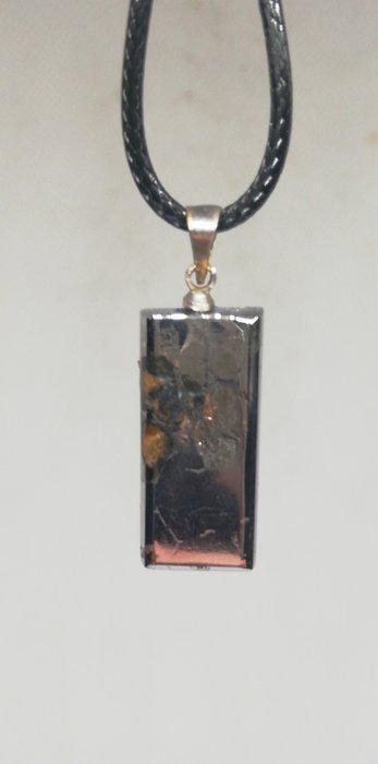 Prachtige Seymchan-meteoriet. Spiegelglans polijstwerk., Collections, Minéraux & Fossiles