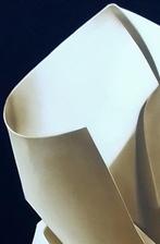 Rodolfo Guzzoni - le cose non dette 318