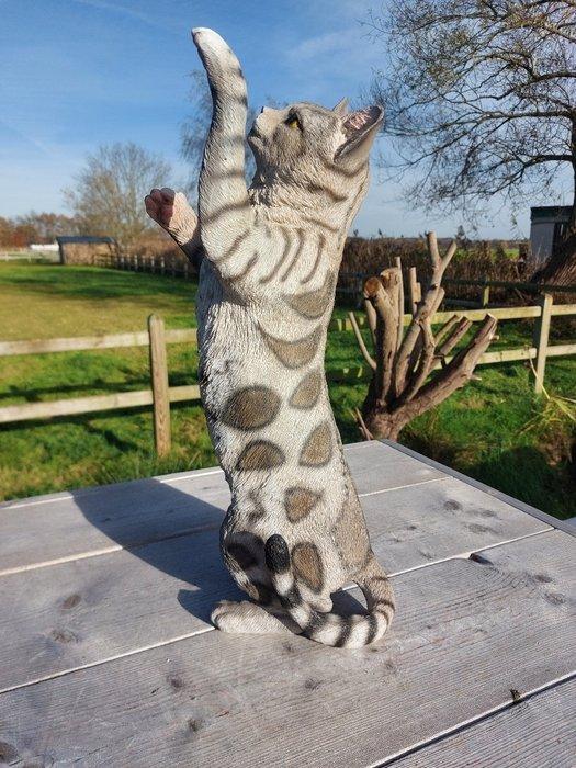Beeld, garden statue 50 cm high scratching cat - 50 cm -, Antiek en Kunst, Curiosa en Brocante