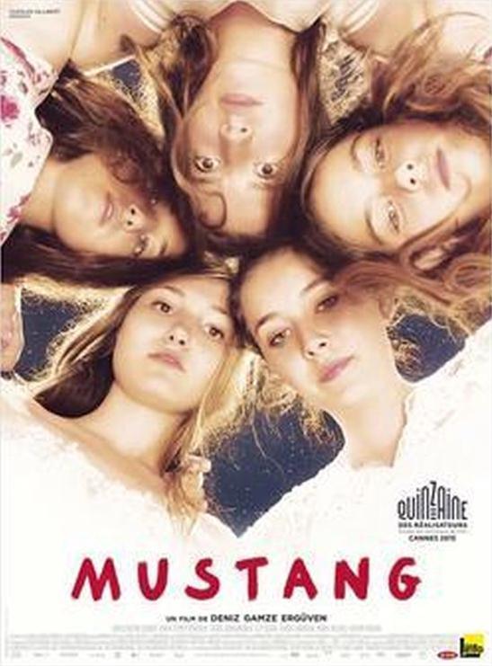 Mustang, CD & DVD, DVD | Drame, Envoi