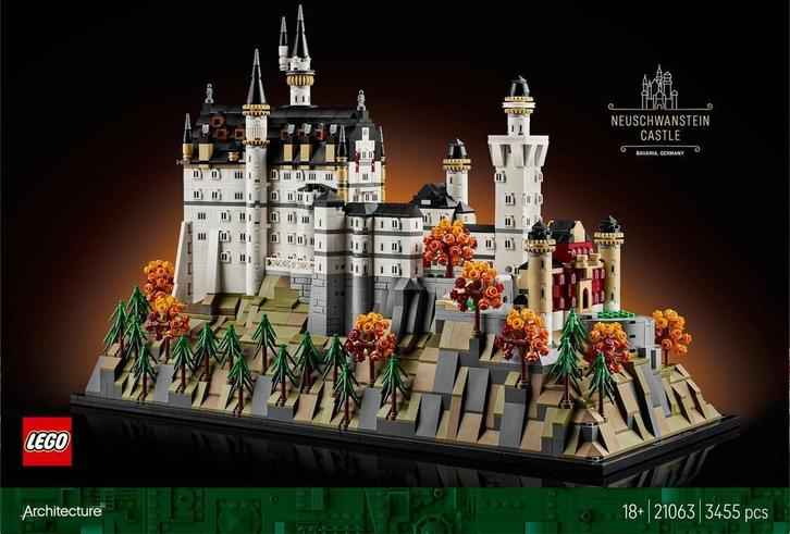 LEGO 21063 Slot Neuschwanstein huren – Bambini Bricks, Services & Professionnels, Location | Autre