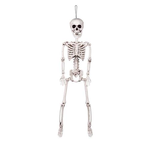 Halloween Pop Skelet Beweegbaar 60cm, Hobby & Loisirs créatifs, Articles de fête, Envoi