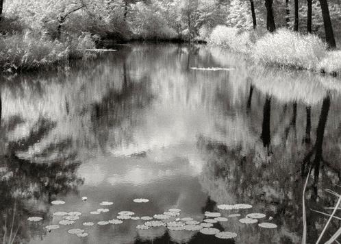 Hans Vos - Pond two nature in infra-red - No reserve, Antiek en Kunst, Kunst | Schilderijen | Modern