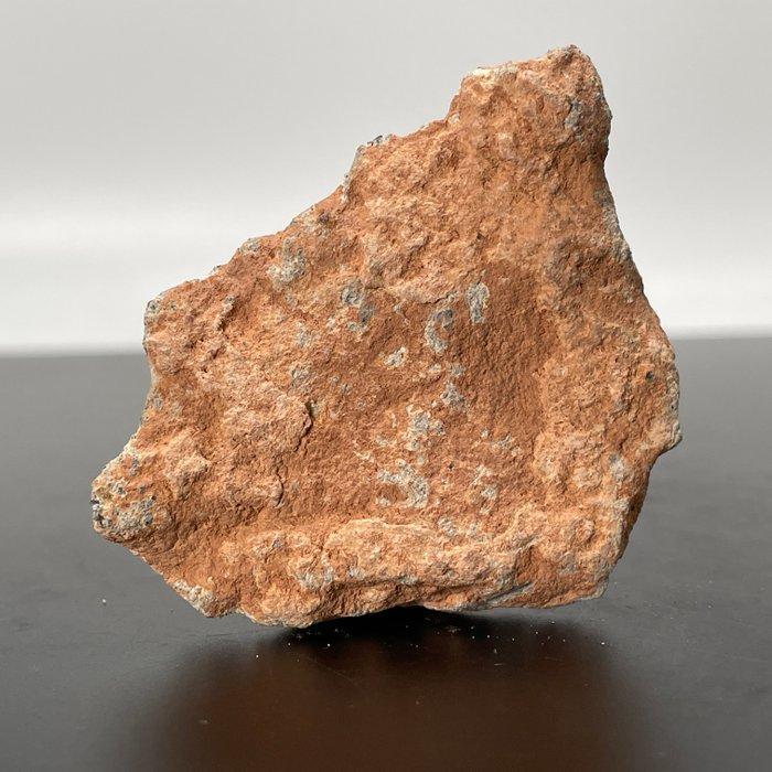 Super!! Moon Meteorito Bechar 007 XXL!!! Lunar - 42.5 g, Verzamelen, Mineralen en Fossielen