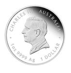 Australië. 1 Dollar 2026 – Lunar Series III: Year of the