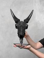 SANS PRIX DE RÉSERVE - Crâne de chèvre noir authentique, Antiek en Kunst