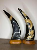 Waterbuffel Hoorns - Bubalus arnee bubalis - 35 cm - 10 cm -