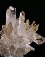 Premium - Magnifique quartz naurel - spécimen XXL - golden, Verzamelen