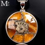 Jurassic sieraden Hanger – Pyriet-gefosilieerde ammoniet -, Antiek en Kunst