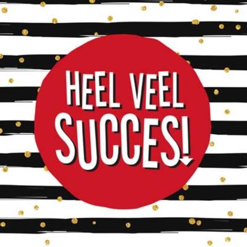 Heel veel succes 9789461888730 Gerd de Ley, Boeken, Stripverhalen, Zo goed als nieuw, Verzenden