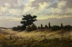 Koopman (XX) - Landschap op de Veluwe