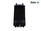 Radiateur Harley-Davidson XG 500 Street 2019-2020 (26800014), Motoren, Verzenden, Gebruikt