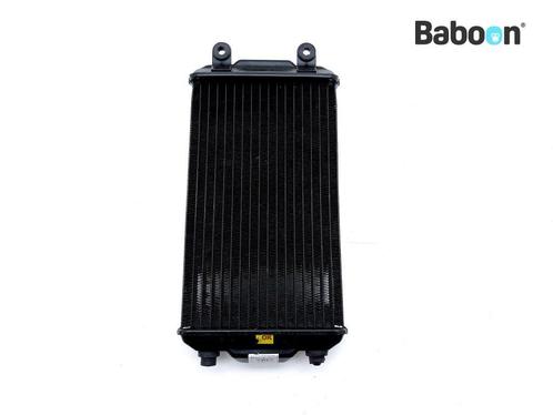 Radiateur Harley-Davidson XG 500 Street 2019-2020 (26800014), Motoren, Onderdelen | Harley-Davidson, Gebruikt, Verzenden