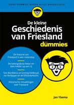 Voor Dummies  -   De kleine geschiedenis van Friesland voor, Livres, Histoire & Politique, Jan Ybema, Verzenden