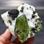 diopside Kristallen op matrix - Hoogte: 118 mm - Breedte: