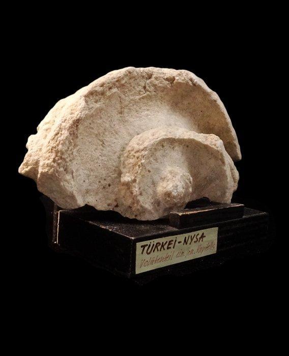 Oud-Grieks Fragment van de Griekse marmeren tempel - 3e eeuw, Antiek en Kunst, Antiek | Overige Antiek
