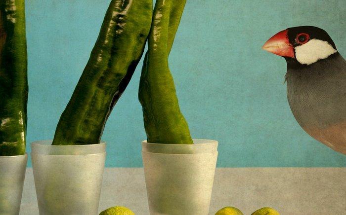 Tere Ormazabal - Bodegón 14. Serie bodegones con pájaros, Antiek en Kunst, Kunst | Designobjecten