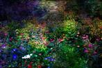 VHT Interiors Art - Night garden (with passepartout)