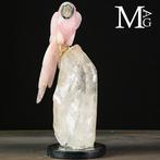 Een exclusieve collectie van unieke en verfijnde stukken -, Verzamelen