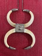 Everzwijn Slagtand - Sus scrofa - 31 cm - 11 cm - 1.2 cm-