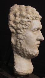 sculptuur, Scultura, Antica testa di Caracalla - 73 m -, Antiek en Kunst