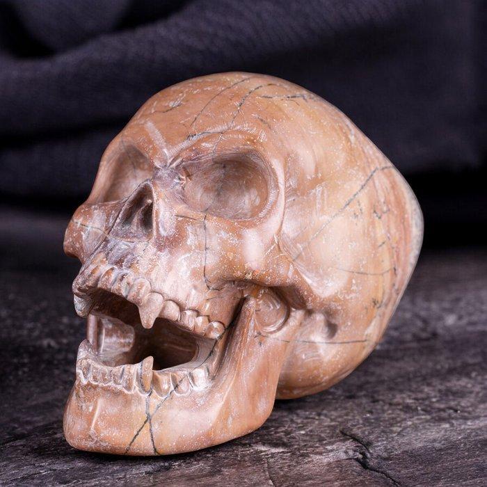 Vampier schedel in Diaspro – Donkere charme en unieke, Antiek en Kunst, Curiosa en Brocante